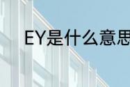 EY是什么意思（ay和ey的区别）