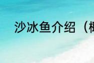 沙冰鱼介绍（椰奶沙冰摆摊做法）