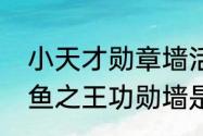 小天才勋章墙活动勋章怎么获得（咸鱼之王功勋墙是什么）