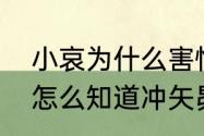 小哀为什么害怕冲矢昴（羽田秀吉是怎么知道冲矢昴是赤井秀一）