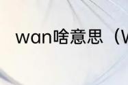 wan啥意思（WAN代表什么含义）