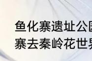 鱼化寨遗址公园对外开放吗（从鱼化寨去秦岭花世界坐几路公交车）