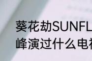 葵花劫SUNFLOWER怎么样（丁海峰演过什么电视剧）