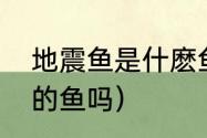 地震鱼是什麽鱼类（地震会影响海里的鱼吗）