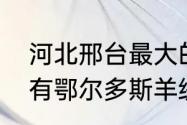 河北邢台最大的商场是哪个（邢台市有鄂尔多斯羊绒衫专卖店吗）