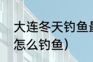 大连冬天钓鱼最佳地点（大连海之韵怎么钓鱼）