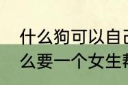 什么狗可以自己照顾自己（男生为什么要一个女生帮忙照顾自己的狗狗）