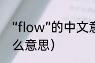 “flow”的中文意思是什么（FLOW什么意思）