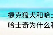 捷克狼犬和哈士奇谁的狼血统最高（哈士奇为什么和狼没有生殖隔离）