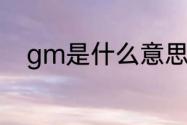 gm是什么意思（GM是什么意思）