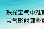 珠光宝气中雅言怀了谁的孩子（珠光宝气影射哪些富豪）