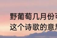 野葡萄几月份可以采摘（《野葡萄》这个诗歌的意思是什么）