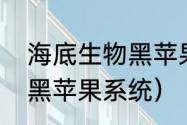 海底生物黑苹果是一种什么（什么是黑苹果系统）