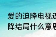 爱的迫降电视连续剧大结局（爱的迫降结局什么意思）