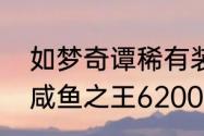 如梦奇谭稀有装扮只能是魔法师吗（咸鱼之王6200癫癫蛙用什么阵容）