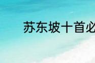 苏东坡十首必背诗词大江东去