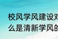 校风学风建设对大学生的重要性（什么是清新学风的重要性）