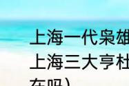 上海一代枭雄杜月笙故事（30年代的上海三大亨杜月笙家的，杜氏祠堂还在吗）