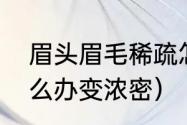 眉头眉毛稀疏怎么改善（眉毛稀少怎么办变浓密）