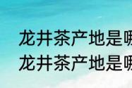 龙井茶产地是哪里（四大名茶之一的龙井茶产地是哪里）