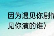 因为遇见你剧情介绍（杜雨宸因为遇见你演的谁）