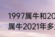 1997属牛和2021相差多少年（97年属牛2021年多大了）