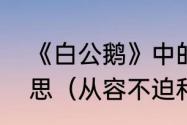 《白公鹅》中的“慢条斯理”是什么意思（从容不迫和慢条斯理的区别）