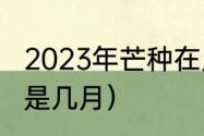 2023年芒种在几月几号（芒种到夏至是几月）