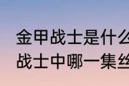 金甲战士是什么类型的电视剧（金甲战士中哪一集丝戴拉变成了金甲战士）