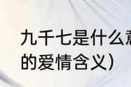 九千七是什么意思（九千七数字代表的爱情含义）