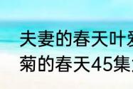 夫妻的春天叶爱武怀了谁的孩子（小菊的春天45集大结局）