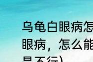 乌龟白眼病怎么治最快（乌龟得了白眼病，怎么能快点治好用了红霉素还是不行）