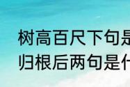 树高百尺下句是什么（树高百尺落叶归根后两句是什么）