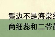 鬓边不是海棠红大结局商细蕊结局（商细蕊和二爷最终结局）