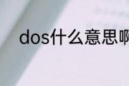 dos什么意思啊（DOS什么意思）