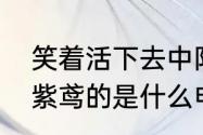 笑着活下去中阳阳的扮演者（杨幂演紫鸢的是什么电视）