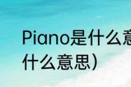 Piano是什么意思（Piano这个词是什么意思）