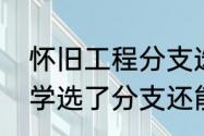 怀旧工程分支选哪个（魔兽世界工程学选了分支还能改嘛）