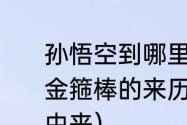 孙悟空到哪里借了如意金箍棒试概括金箍棒的来历和特点（如意金箍棒的由来）