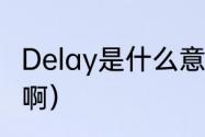 Delay是什么意思（delay是什么意思啊）