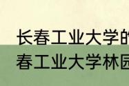 长春工业大学的林园校区怎么样（长春工业大学林园校区主要有什么系呀）