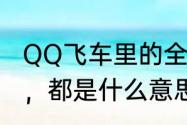 QQ飞车里的全29、进阶还有＋5宠物，都是什么意思啊