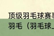 顶级羽毛球赛事中用的羽毛求是什么羽毛（羽毛球上的羽毛有什么作用）