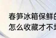 春笋冰箱保鲜的最好方法（新鲜竹笋怎么收藏才不坏呢）