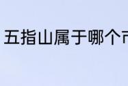 五指山属于哪个市（五指山属哪个省）