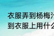 衣服弄到杨梅汁如何清理（杨梅汁弄到衣服上用什么才能洗掉）