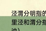 泾渭分明指的是同一条河（泾渭分明里泾和渭分指两条河，在古代谁清谁浊）