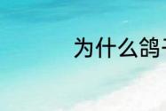 为什么鸽子走路总点头