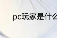 pc玩家是什么意思？（pc玩家）