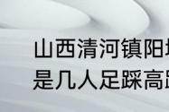 山西清河镇阳城村的高跷走兽艺术，是几人足踩高跷同演骑兽状